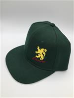 Cappello snapback casual logo verde